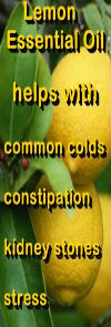 Ormus Minerals Pure Magnesium Oil with LEMON EO benefits Ormus Minerals Pure Magnesium Oil with LEMON EO benefits